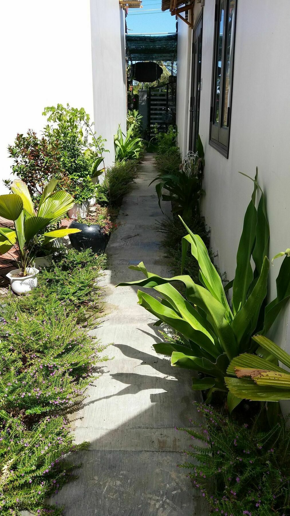 Lido Villa Hoi An Luaran gambar