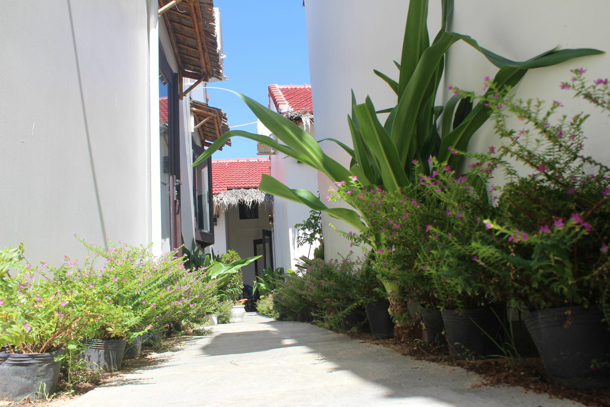 Lido Villa Hoi An Luaran gambar